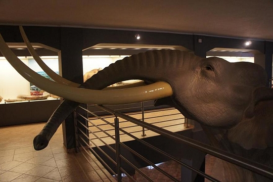 Muzeum Okręgowe w Koninie