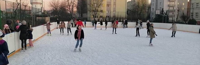 Ice Rink (only in winter)
