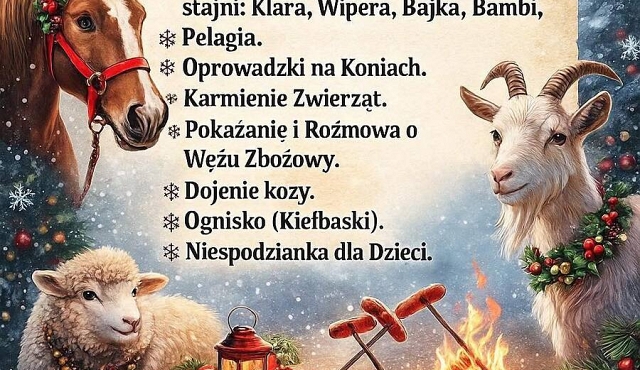 Mikołajki w Bajecznej Zagrodzie