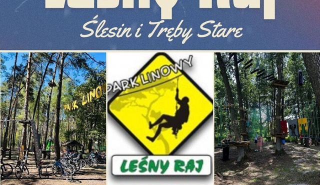 Zabawa w Parku Linowym Leśny Raj