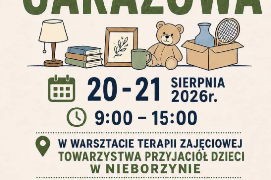 Wyprzedaż garażowa w Nieborzynie