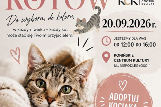 Wystawa kotów ze Schroniska dla Bezdomnych Zwierząt w Koninie