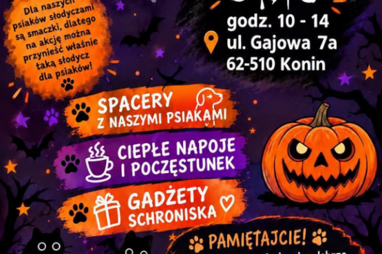 Halloween w Schronisku dla Bezdomnych Zwierząt w Koninie
