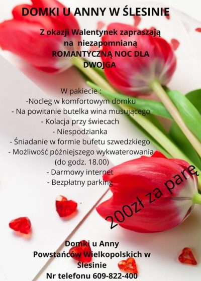 Romantyczna Noc w "Domkach u Anny"