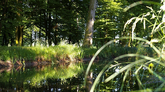 Bronikowski Palace in Żychlin