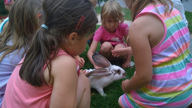 Gospodarstwo Agroturystyczne „Pod brzozami” w Grochowach