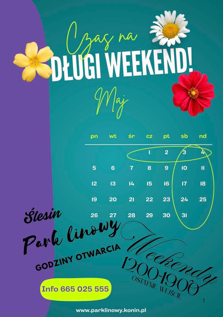 Majówka w Parku Linowym Leśny Raj
