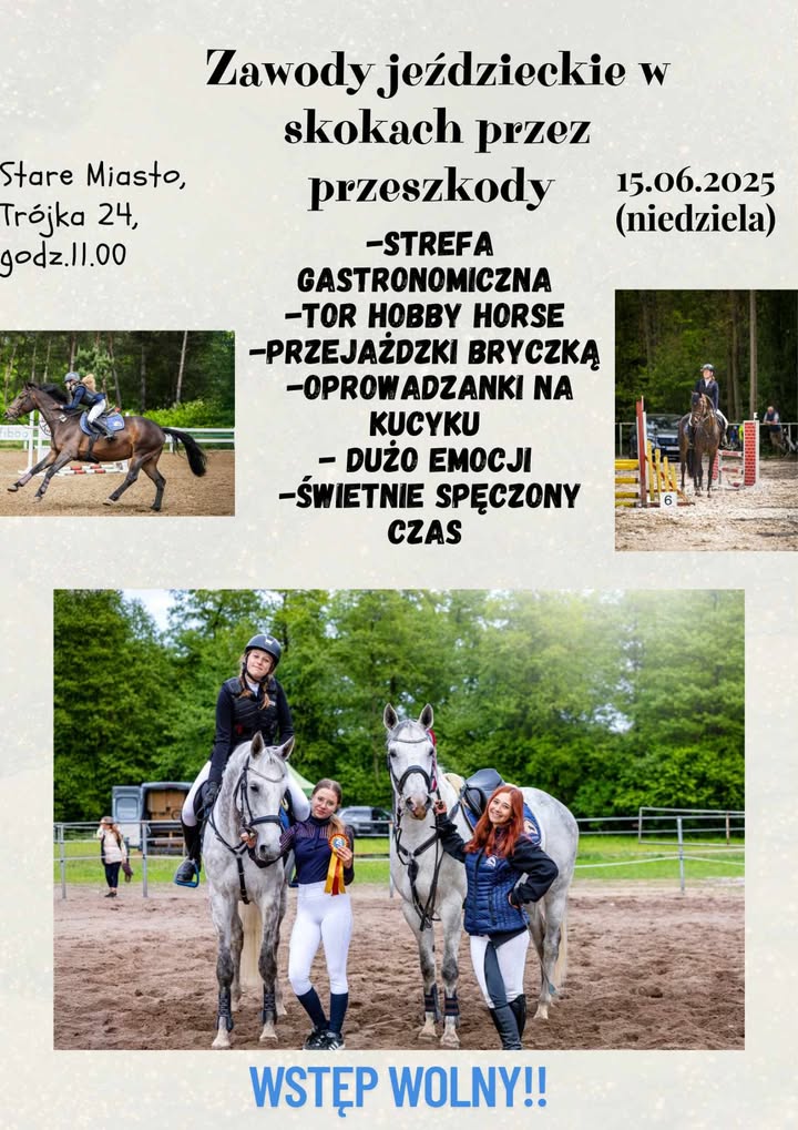 Zawody jeździeckie w skokach przez przeszkody