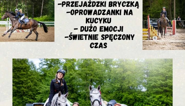 Zawody jeździeckie w skokach przez przeszkody