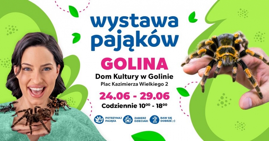 Wystawa pająków w Golinie