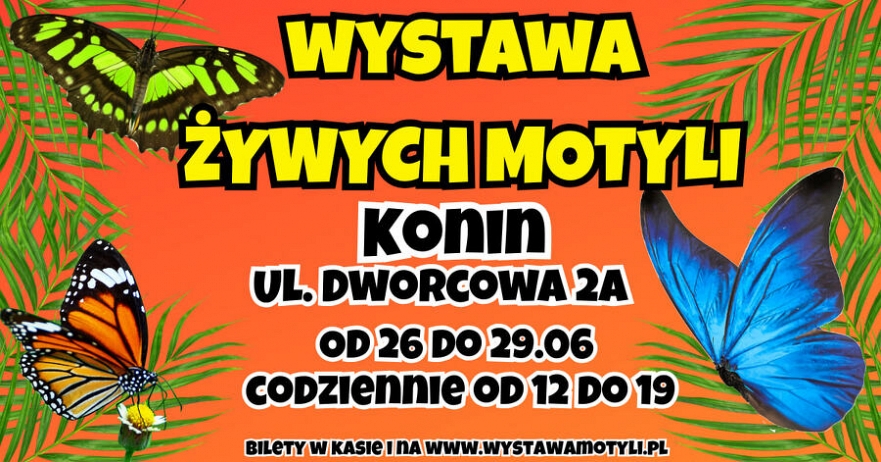 Wystawa żywych motyli