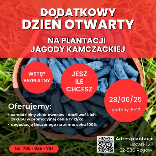 Dzień otwarty na plantacji jagody kamczackiej