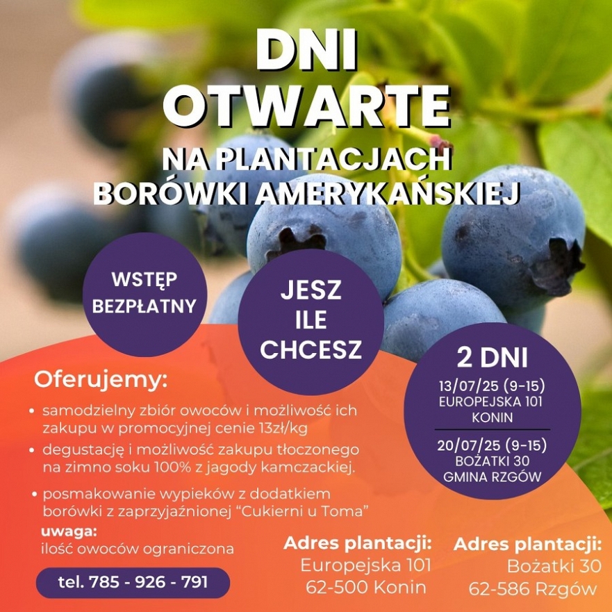 Dni otwarte na Plantacji borówki amerykańskiej