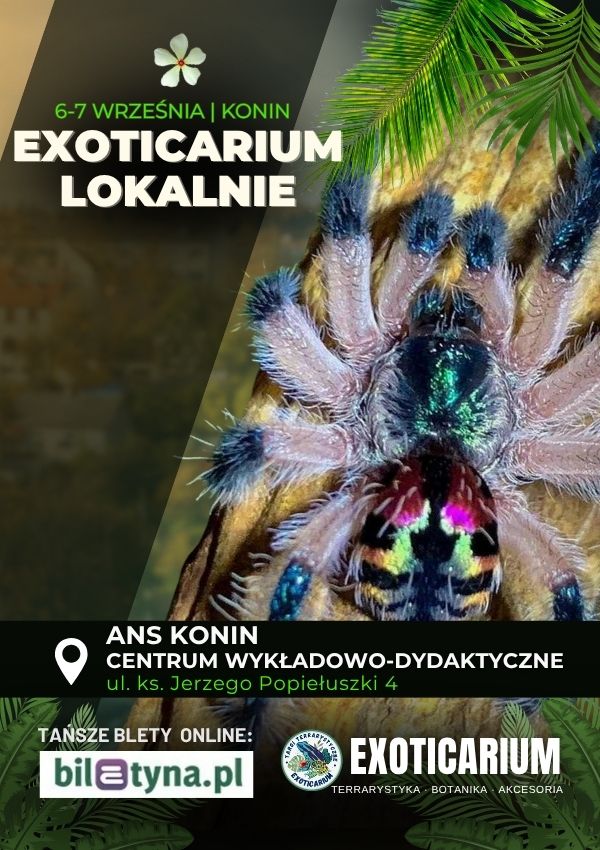 Targi terrarystyczne w Koninie