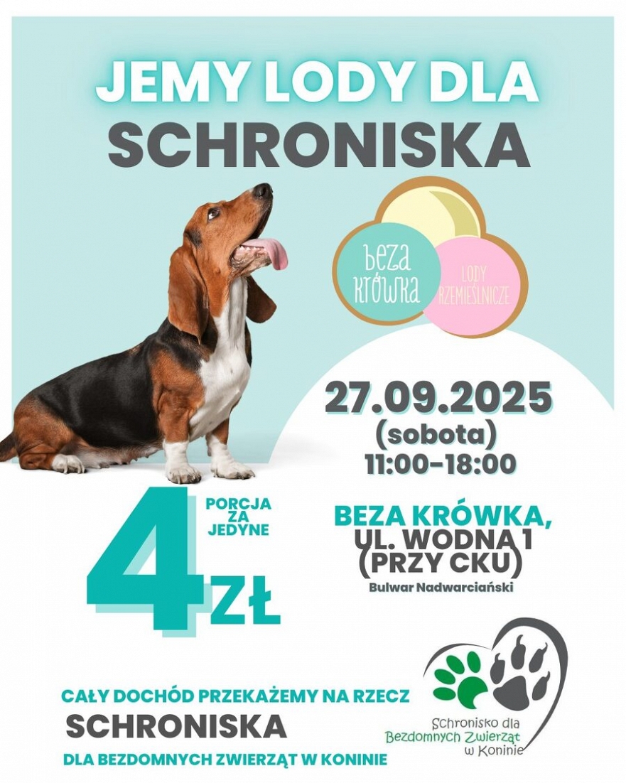 Akcja dla schroniska
