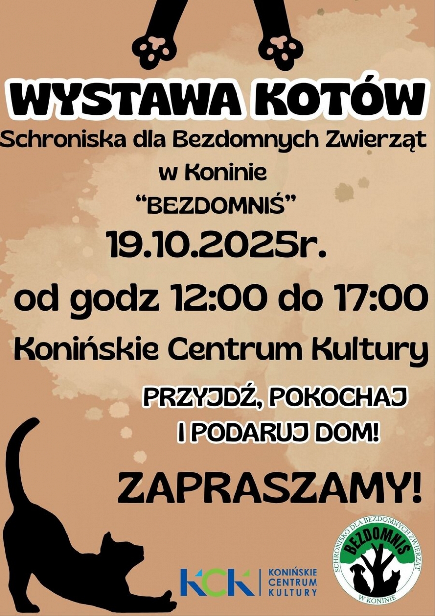 Wystawa kotów Schroniska dla Bezdomnych Zwierząt w Koninie