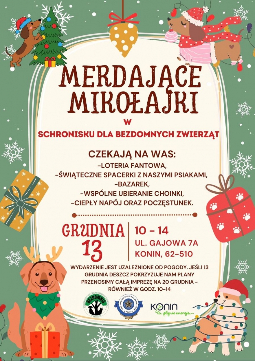 Merdające Mikołajki w Schronisku dla bezdomnych zwierząt w Koninie