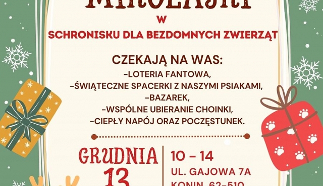 Merdające Mikołajki w Schronisku dla bezdomnych zwierząt w Koninie