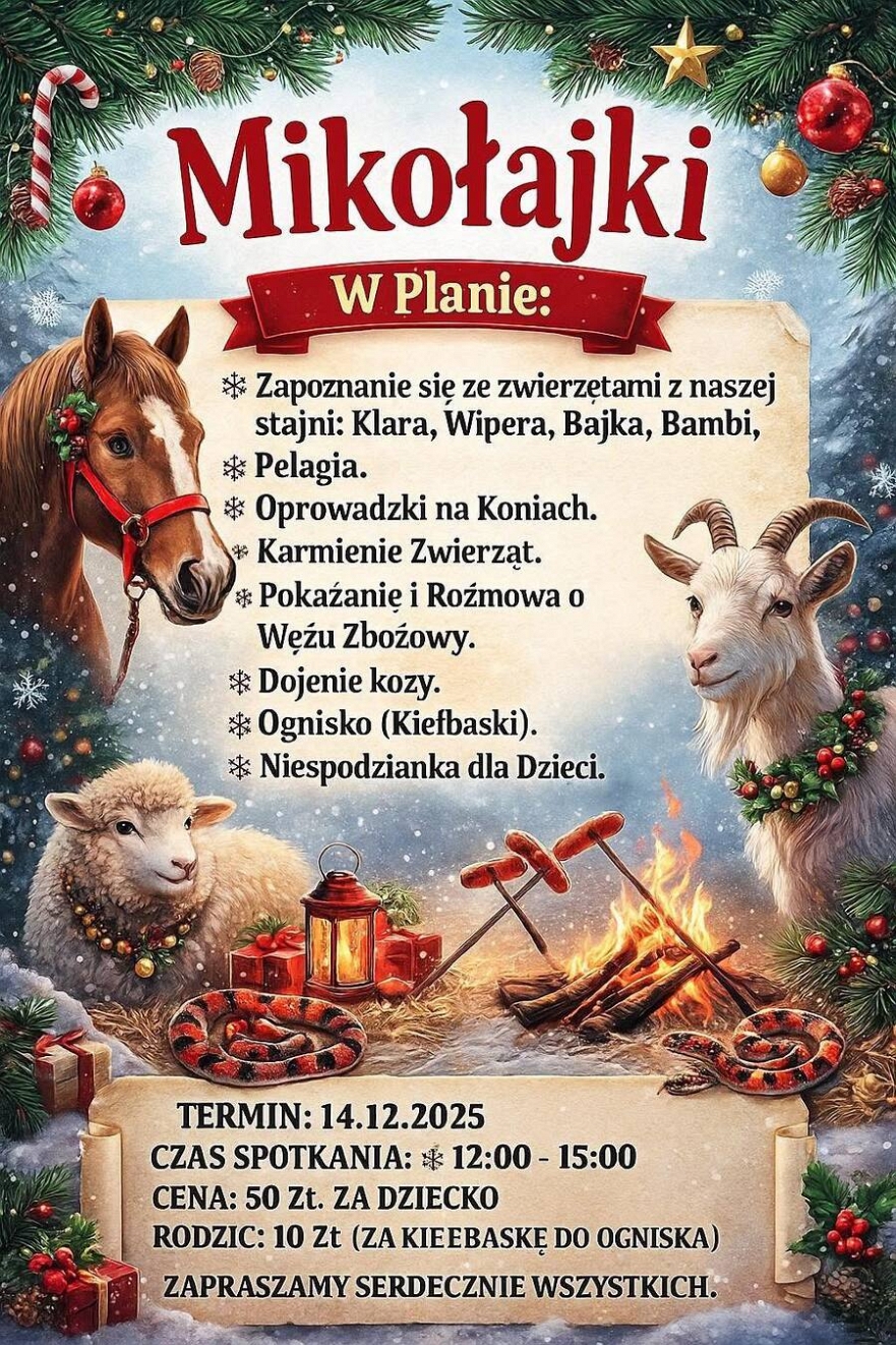 Mikołajki w Bajecznej Zagrodzie