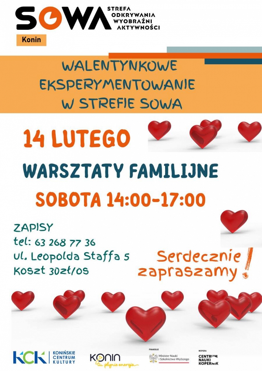 Warsztaty Familijne w Strefie SOWA