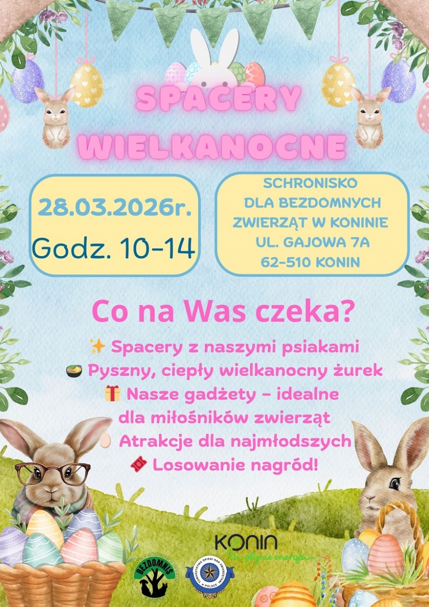 Spacery Wielkanocne z podopiecznymi Schroniska dla Bezdomnych Zwierząt w Koninie