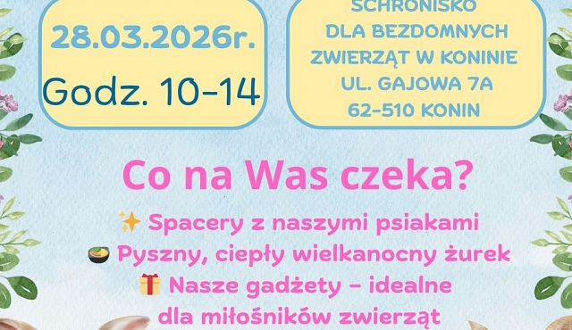 Spacery Wielkanocne z podopiecznymi Schroniska dla Bezdomnych Zwierząt w Koninie
