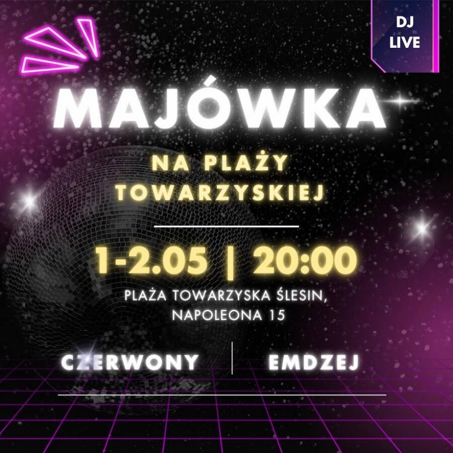 Maj&oacute;wka na Plaży Towarzyskiej w Ślesinie
