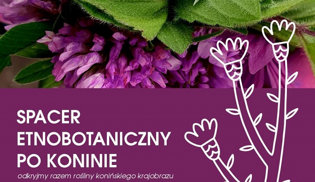 Spacer botaniczny po Koninie