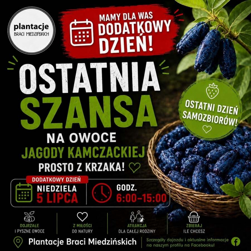 Samozbiory na Plantacjach Braci Miedzińskich