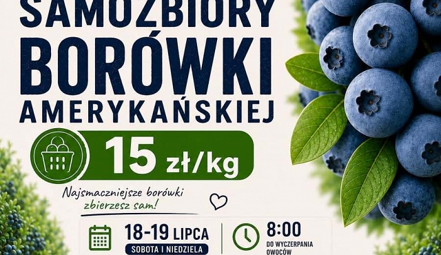 Dni otwarte na Plantacji Braci Miedzińskich