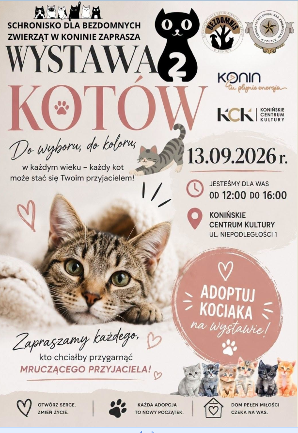 Wystawa kotów ze Schroniska dla Bezdomnych Zwierząt w Koninie