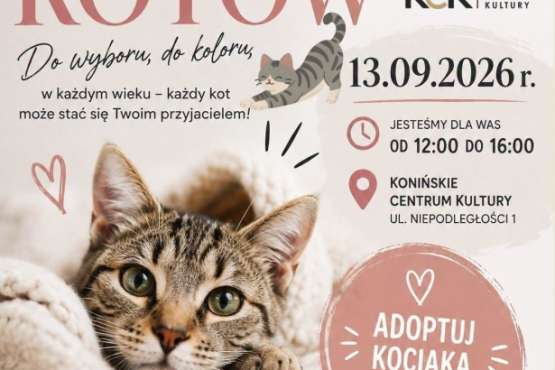 Wystawa kotów ze Schroniska dla Bezdomnych Zwierząt w Koninie