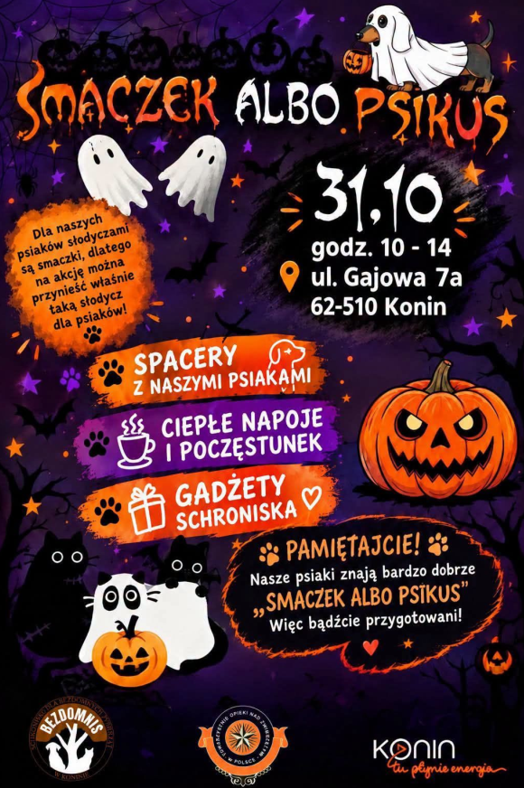 Halloween w Schronisku dla Bezdomnych Zwierząt w Koninie