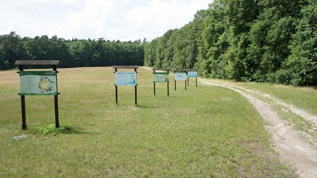 Der Waldlehrpfad Beniszew