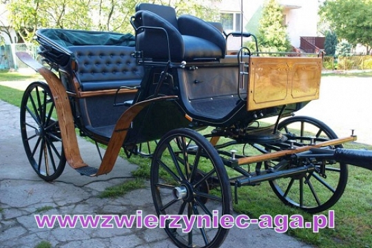 Mini ZOO w Modlibogowicach