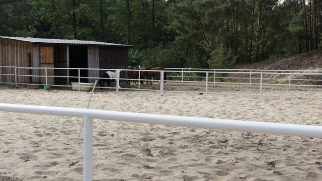 Gospodarstwo Agroturystyczne „Pradolina”