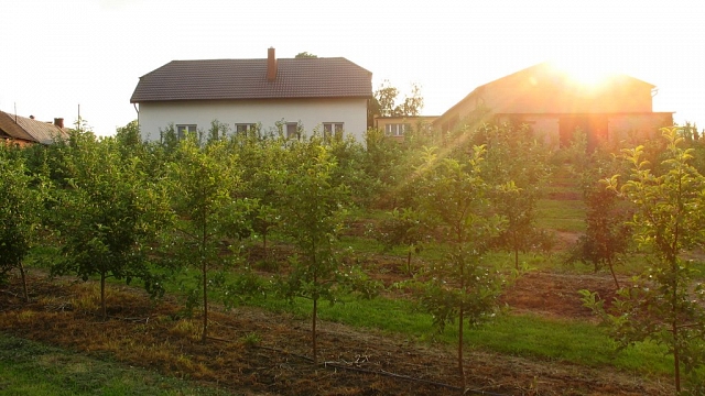 Gospodarstwo agroturystyczne OWOCOWY RAJ NAD ZALEWEM