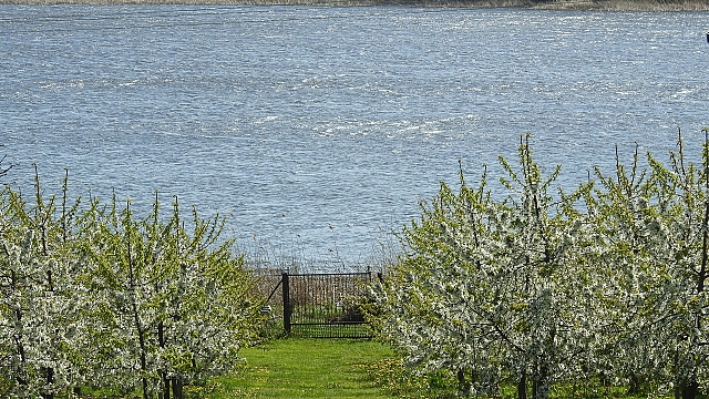 Gospodarstwo agroturystyczne OWOCOWY RAJ NAD ZALEWEM